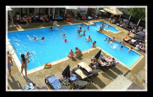 Campus Caffe Mansion - image 7