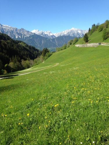 Alpen-Appartement Auerhof