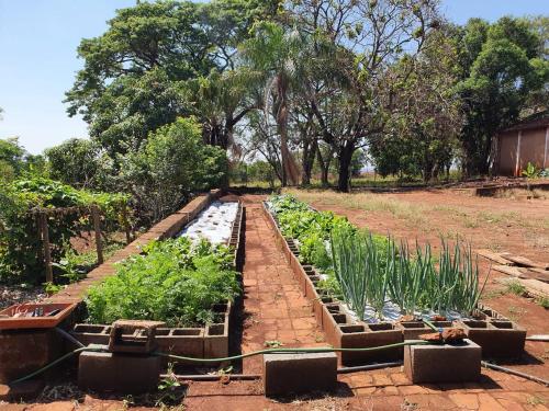 Fazenda Santa Clementina