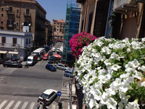 White, Palermo (fotografie 4)