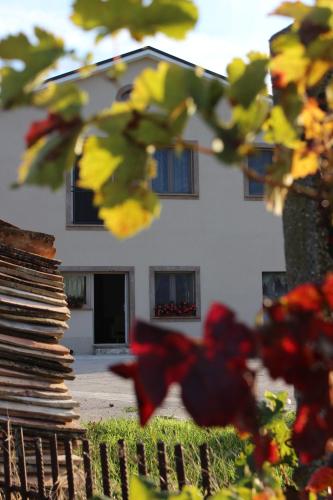 LE CANONICHE NEL MATESE ALBERGO DIFFUSO in San Massimo