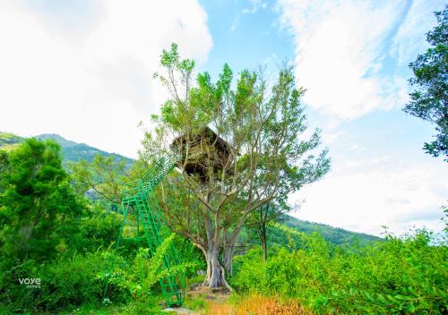 Moonlight Munnar Forest Bungalow with Private Waterfalls by VOYE HOMES