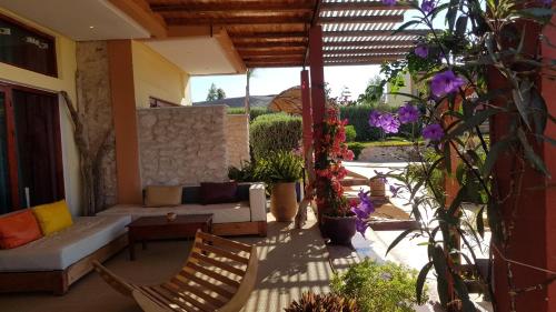 Terrasses vertes Terrasses vertes