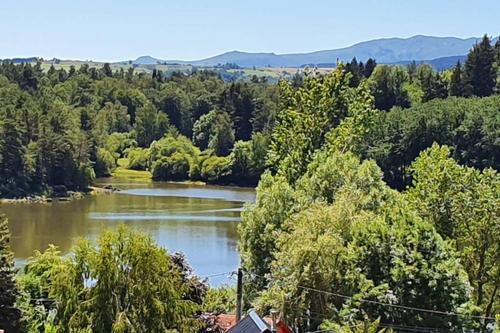 la maison du lac gîte à louer Laschamp