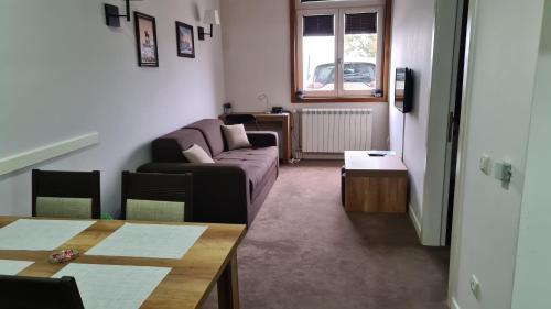 Apartman No1,Župa Wellness & Spa Kopaonik (Apartman No1,Zupa Wellness & Spa Kopaonik) in Kopaonik