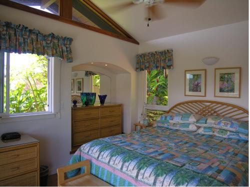 Adventure in Paradise - image 9