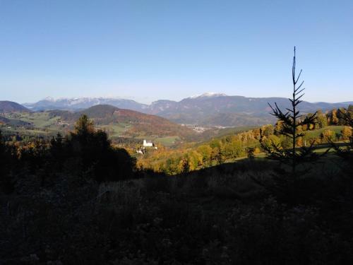 Ferienhaus Bauer Wohnung 2 in Trattenbach