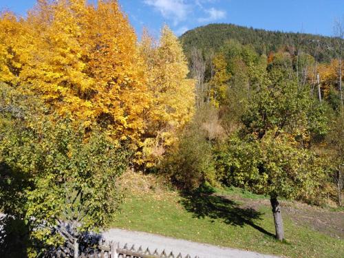 Ferienhaus Bauer Wohnung 2 in Trattenbach