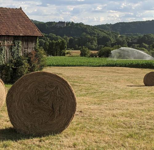 Domaine de Fleurie