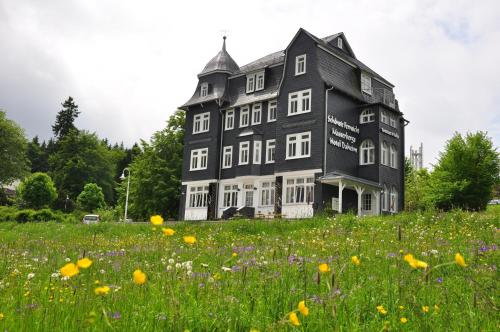 Hotel & Café Daheim - Accommodation - Masserberg