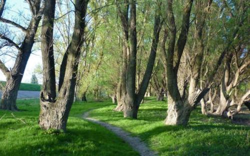 Nearby attraction, Palma Apartmanok Szallashely Szazhalombatta 5a in Százhalombatta