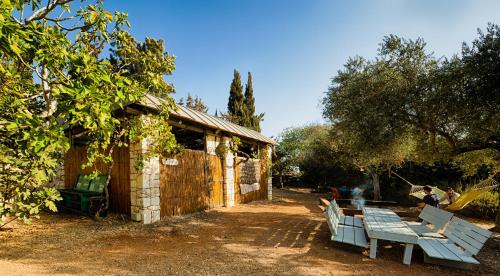 Back to Nature Camping & Huts Michmanim