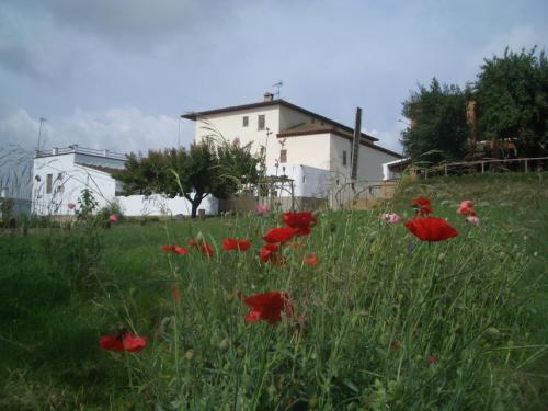 Mas Cabrit - Accommodation - Les Franqueses del Vallès