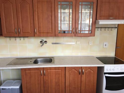 Apartman Nejdek Krusne hory