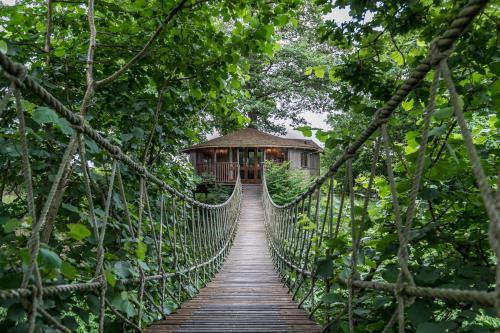 Bensfield Treehouse