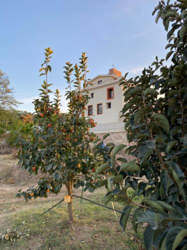 Hotel Rural Mas de l'Illa