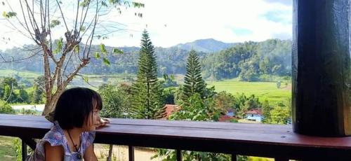 Great View