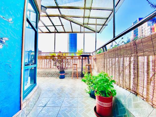 弱水咖啡国际青旅 Only Cafe and Backpacker – Chungking (Chongqing), KY