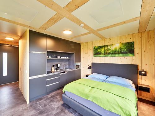  ZiKK Apartment Vitis in Vitis