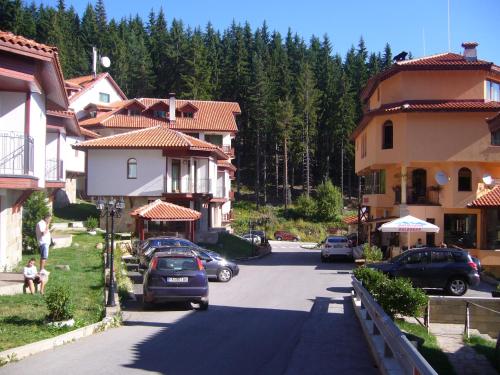 Ski Villa in Pamporovo Forest