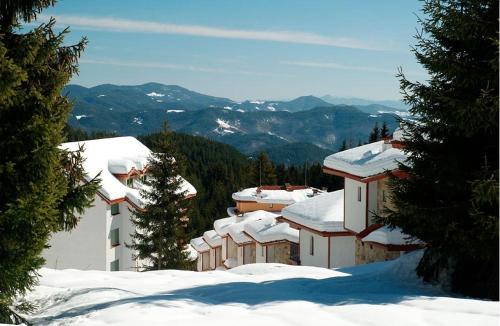 Ski Villa in Pamporovo Forest - image 6