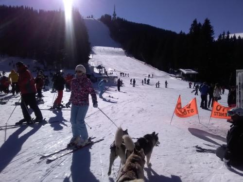 Ski Villa in Pamporovo Forest