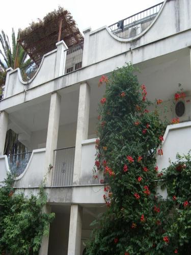 Apartments Ivanišević - main image