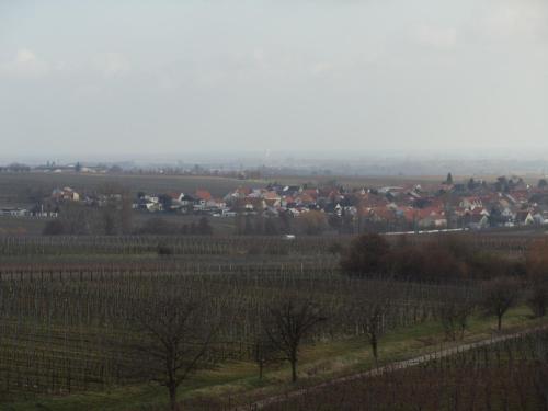 Weinhotel Kienle - image 13