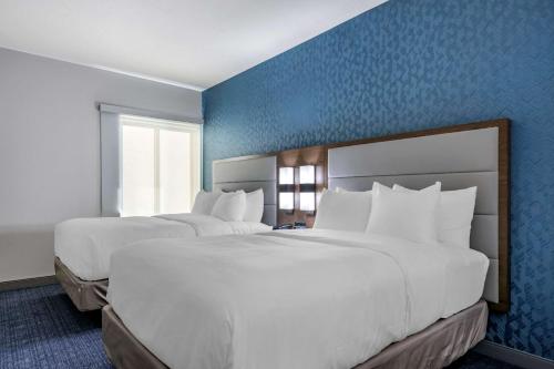 2 queen beds, 1 sofa bed