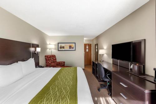 1 king bed