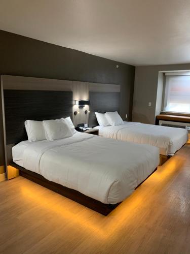 Quality Inn & Suites North Mesquite I-30