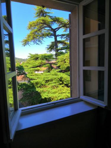 Superior Double Room with Garden View