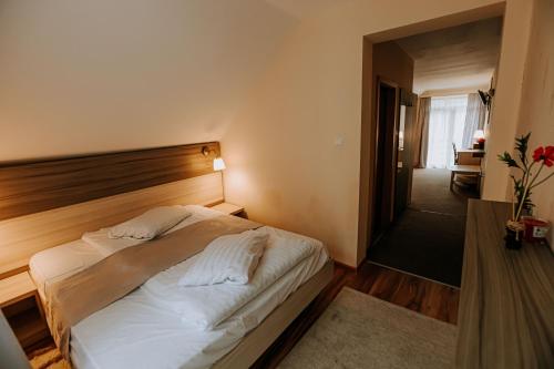 Guest house Lacul Linistit in 莫內亞薩
