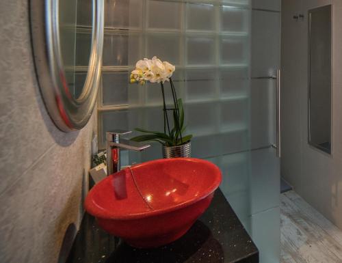 Rey Don Pedro Luxury Home - image 4