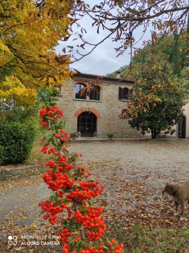 Photo - Villa La Ginestra - Charming Country Home