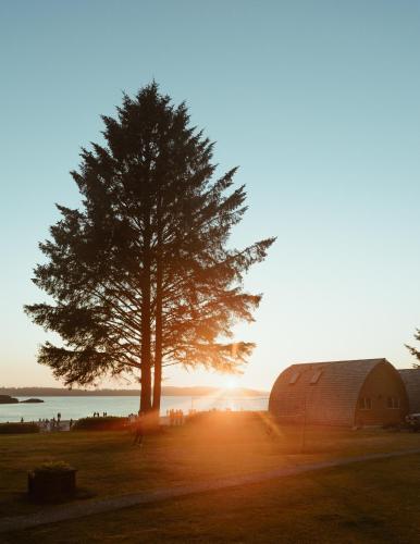 Ocean Village Resort in Tofino, Canada