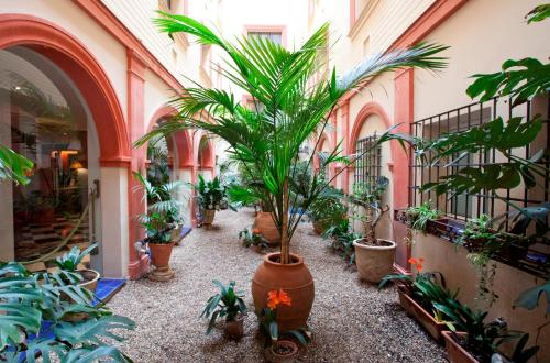 Hotel Doña María, Seville (photo 8)
