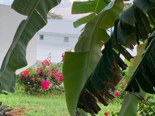 Bleu Cannelle et Petimo Bleu Cannelle et Petimo