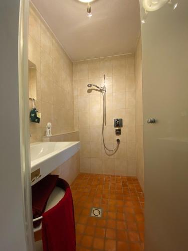 Modernes Alpenapartment mit Sauna Wintergarten und Pool, Salisburgo (foto 9)