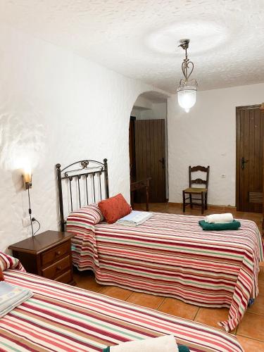 磨坊乡村民宿 磨坊乡村民宿