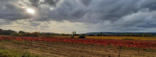 Omgeving, Ô chalets de Provence (O chalets de Provence) in Suze La Rousse