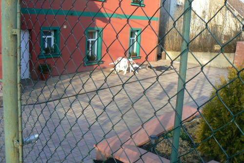 Penzion Na Vápence - image 14