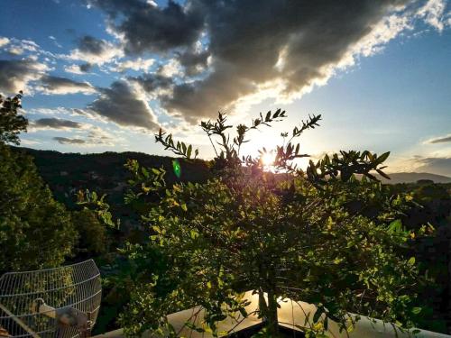 Apartman Japanski vrt Centar - image 8