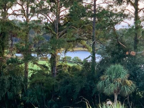 Hilton Head Resort Villa - 3 Pools & Beach Shuttle condo - image 8