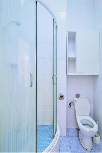 Large apartment in the center - image 8