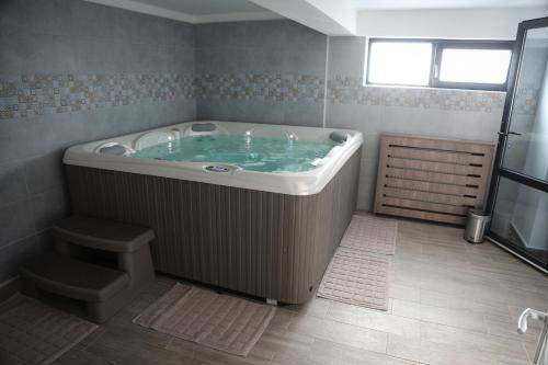 Pensiunea Maramures Guesthouse in Viseu De Jos