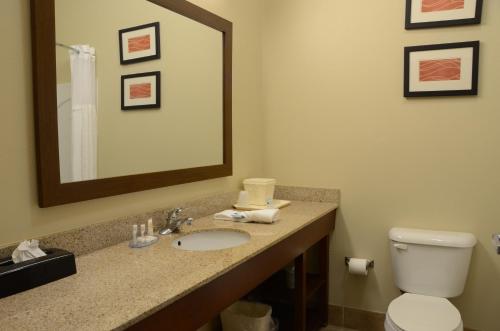 Comfort Inn & Suites Cave City