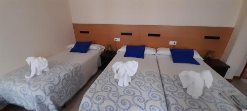 4-Bed Mixed Dormitory Room