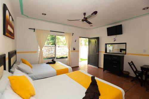 Nicol-Haa in ลาสซินโก กาเยส