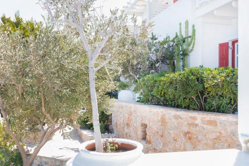Stelia Mare Boutique Hotel - image 12